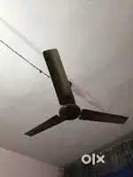 Cealing fan ORPAT