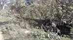 Prime Land for Sale in Marwan, Muzaffarpur – ₹12 Lakh/Kattha | Suitabl
