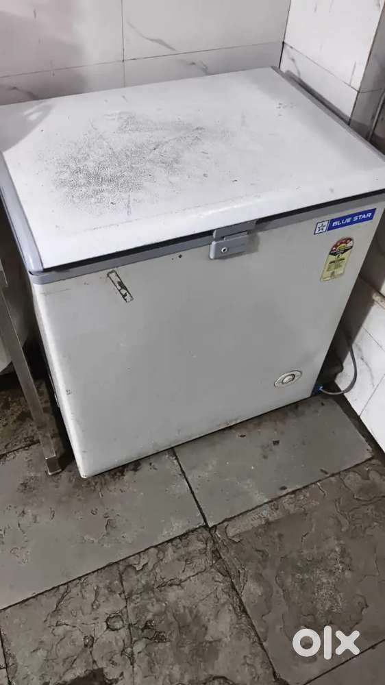 Blue star 150 ltr deep fridge