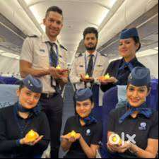 Female Candidates Freshers & Experience  Apply Fast Join Us Indigo Air