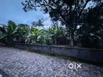 COMMERCIAL  LAND FOR SALE AT INFOPARK EXPRESS HIGHWAY