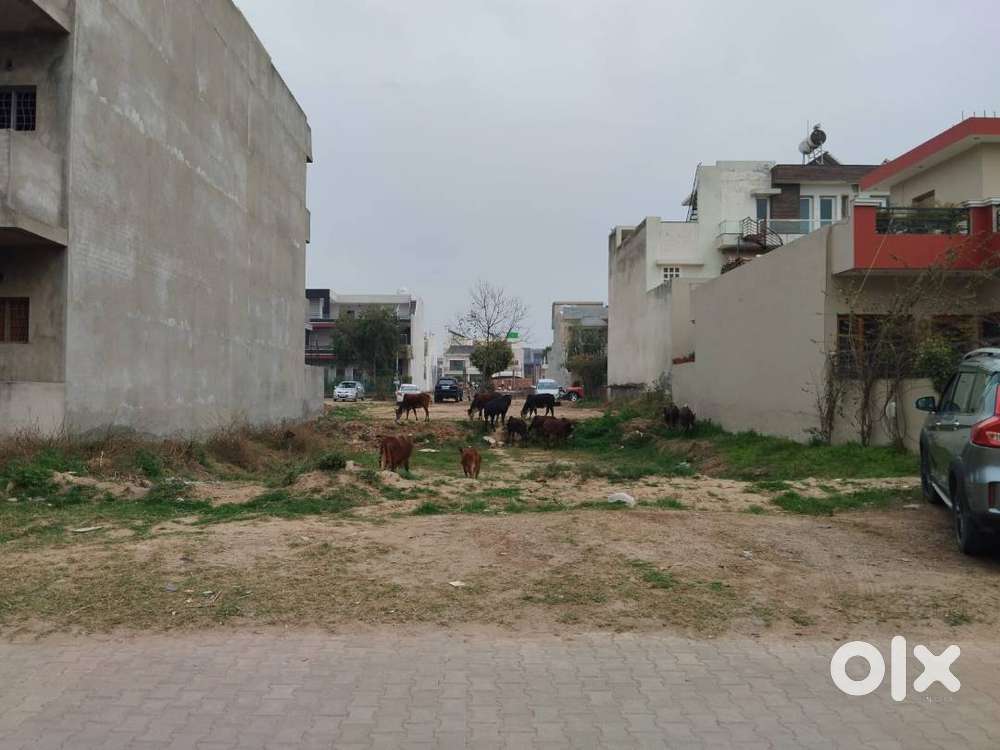 Tdi City Plot 241 Yard East Facing Sector 117 Mohali