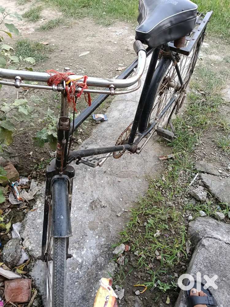 24 inches cycle