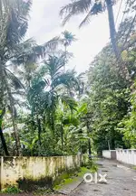 5 cent squre plot for sale
