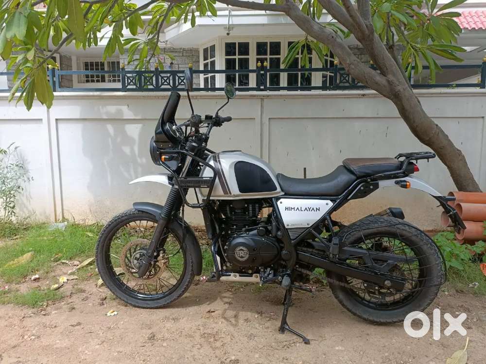 Rayalenfield Himalayan
