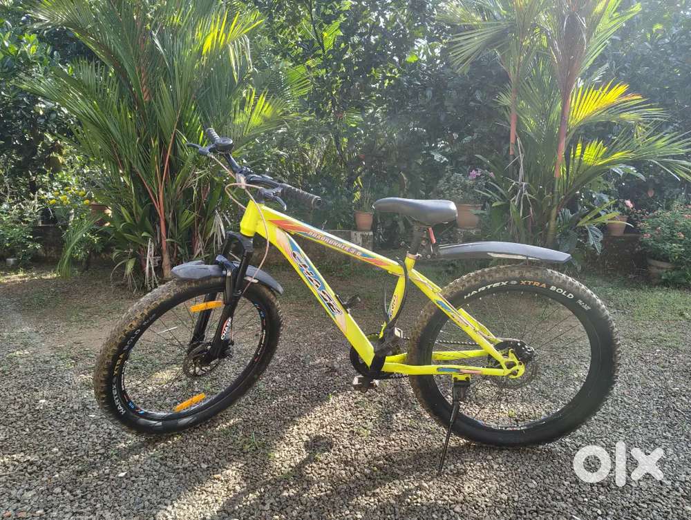 Chase roadrunner 3.0