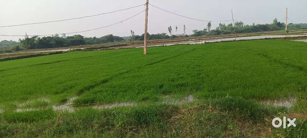 Total 12acres, 1200000 per acre