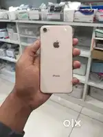I phone 8 mint condison fix rate hai kam ni hoga