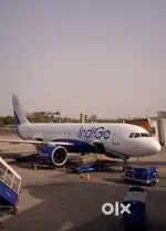 Opening In Indigo Airlines vacancy available for Ground Staff Jobs