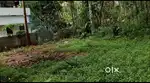 5cent House plot for sale Thiruvode(po),naduvannur, calicut