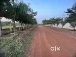 farmhouse plot between famhouses