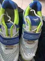 Cricket spike shoes