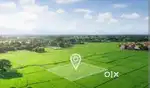 Panagar dwarka pariser me plots bechana hai