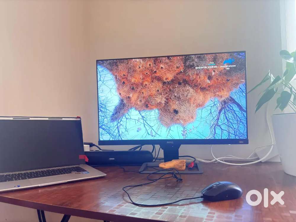 27 inch Full HD Monitor