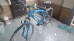 Firefox Tempest MTB – 6 Gears, Blue Beast