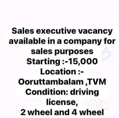 Sales executive vacancy available for Company