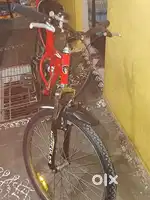 New cycle for see