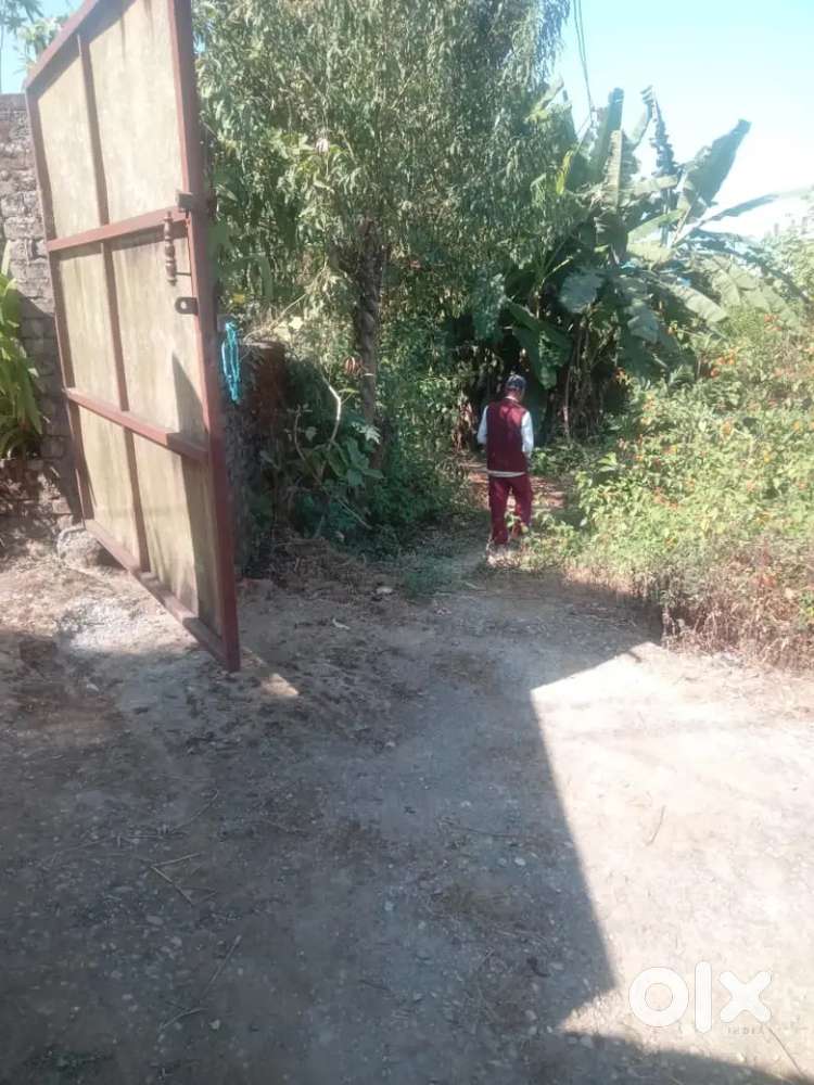 455 gaj plot for sale best for nature loving person