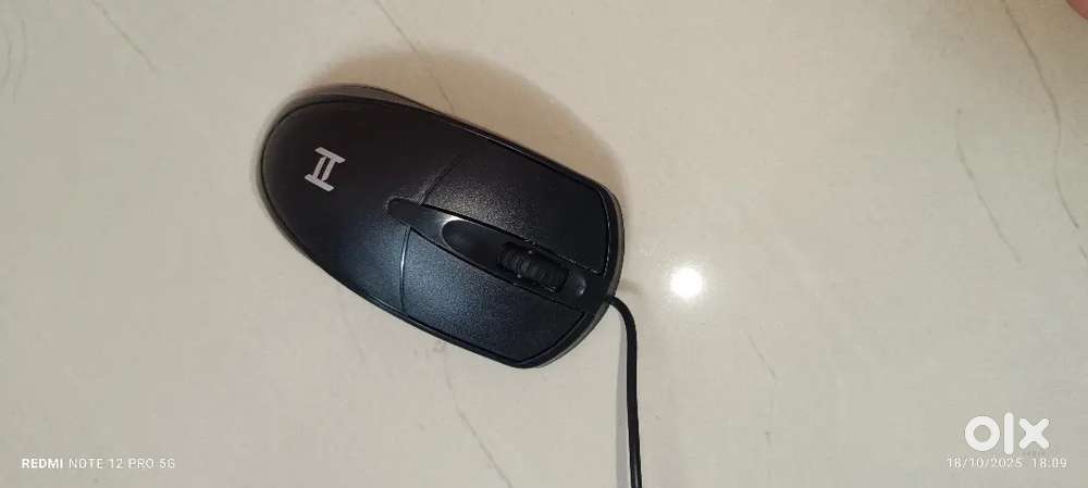 Computer mouse.