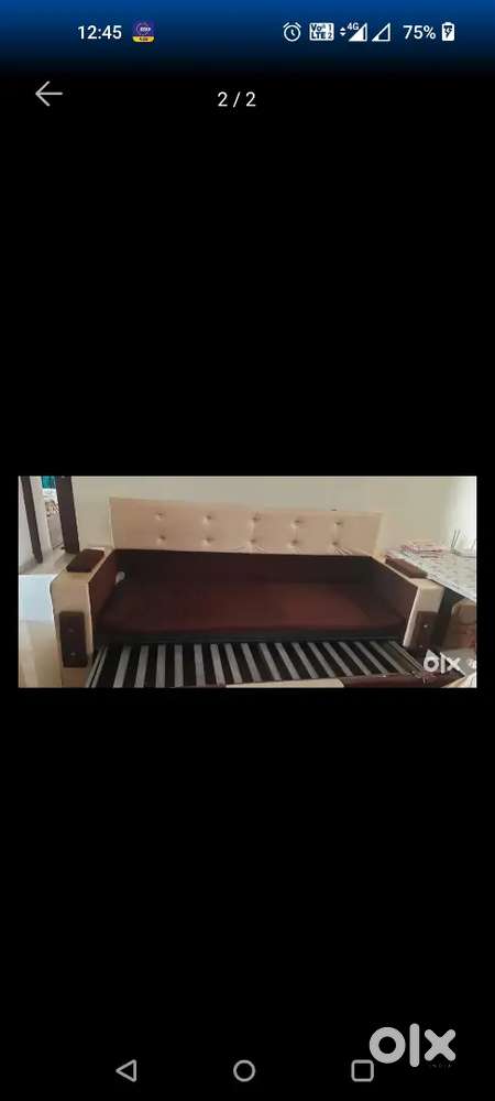 Sofa cum bed (3 seater)