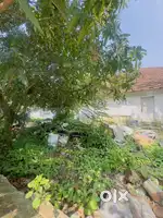 24 CENT COMMERCIAL LAND SALE IN VAZHUTHACAUD