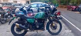 Royal Enfield Himalayan - Pine Green for sale