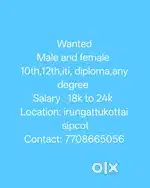 Job wanted