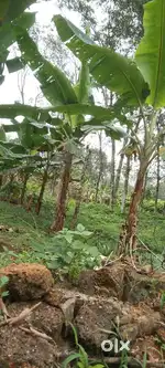 ആവശ്യക്കാർ വിളിക്കുക