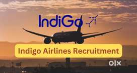 AIRPORT URGENT VACANCY GROUND STAFF TICKET CHECKER & CABIN CREW DRIVER