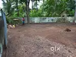 5 cents  residential  plot for sale at Tripunithura.