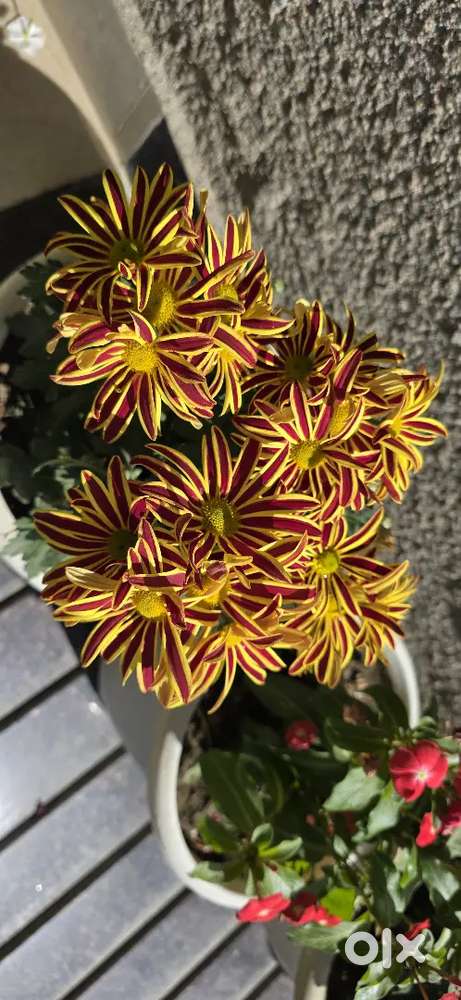 Security/ attendant required at uzanbazar. Family preferred