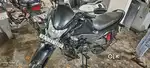 Honda livo