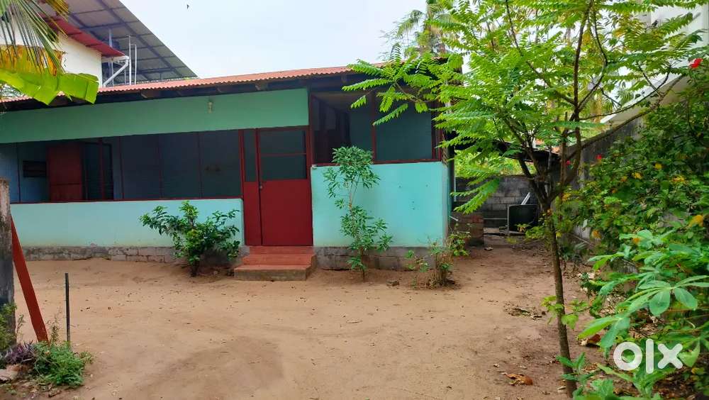 Rent House at Mulamkadakam