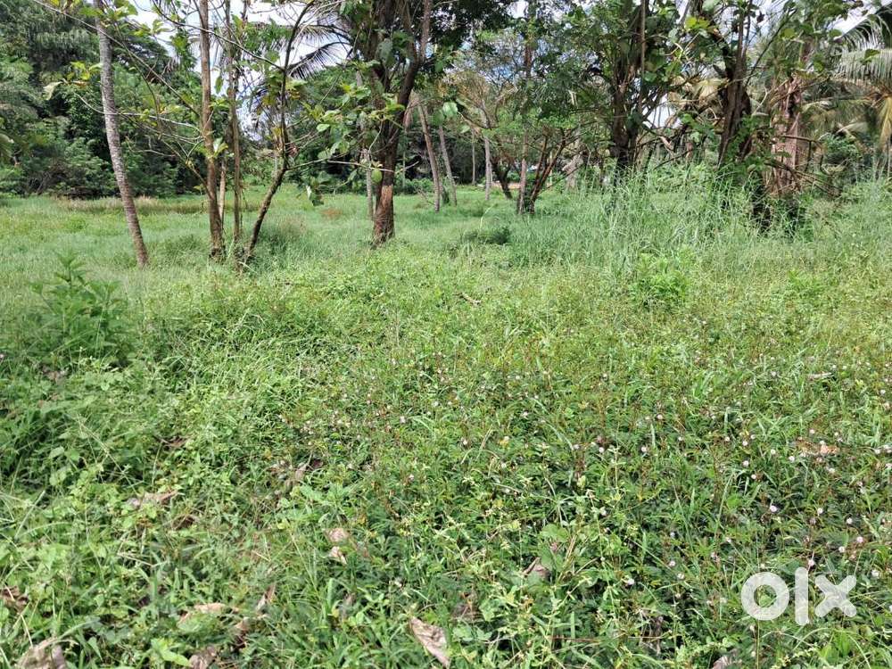 16.5 Cents of Land in Gated villa in Irupanam, Tripunithra.