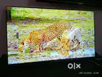 20% DISCOUNT SALE OFFER ALL SIZES LED TV NEW SHIELD BOX PIECE COD ALSO