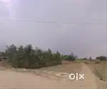 Urgent Agriculture land for sale