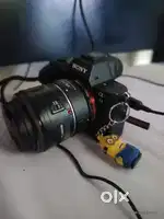 Sony a7m2, a7 mark 2, a7 ll, canon 50mm prime, viltrox adapter