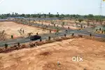 LOTS TASTE FRUITS PLOTS ON ROAD PROPERTY