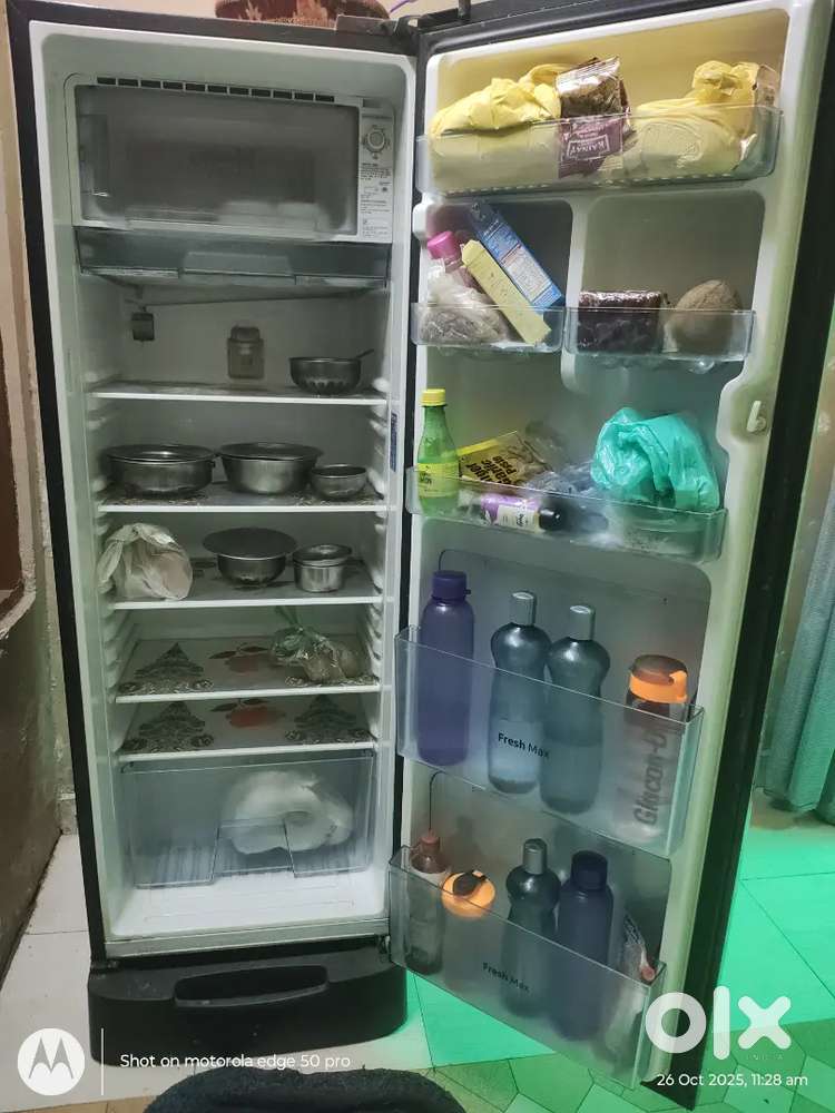 Samsung 255 litre