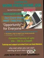 Online work  from home