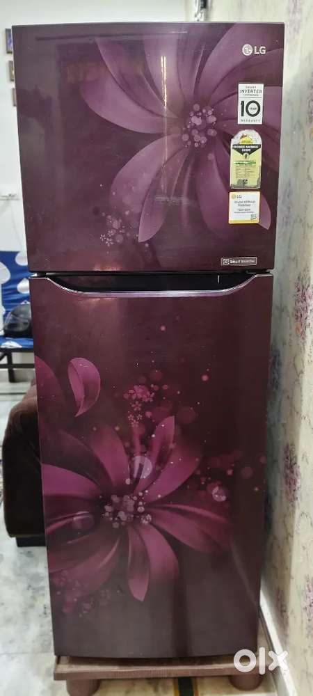 LG 3 star Frost Free Double door Refrigerator 255L-Excellent condition