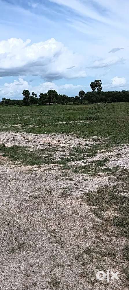 Near alampatti (thirumangalam) naduvakkottai