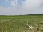 Myadi Land for sale in North Guwahati