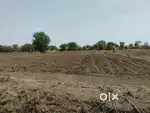 8- ACER PRIME AGRICULTURAL LAND FOR SALE IN DAHEGAON, WARDHA HIGHWAY