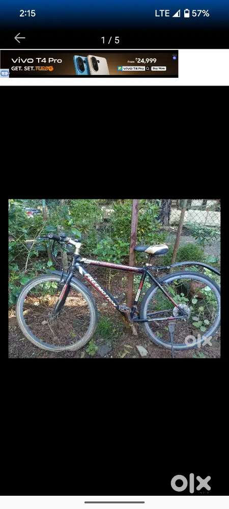 Free motion cycle
