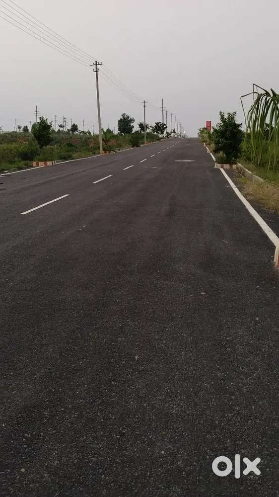 12 kms from Mysore city