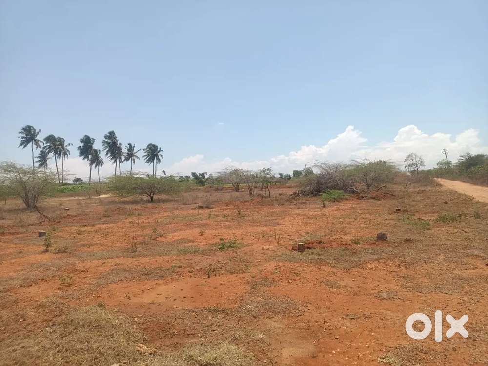 Corner site near g square city bypass