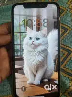 I phone XR model