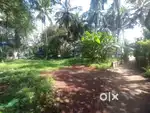 Plot for sale