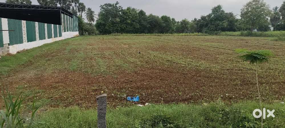 LAND RENT 35000SQT ON MAIN ROAD MUTHUNAIKKAN PATTY -OMALUR PERAMACHUR